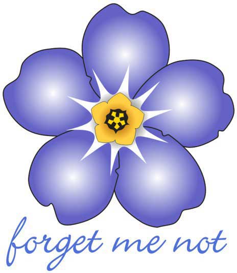 clip art forget me not flower - photo #33